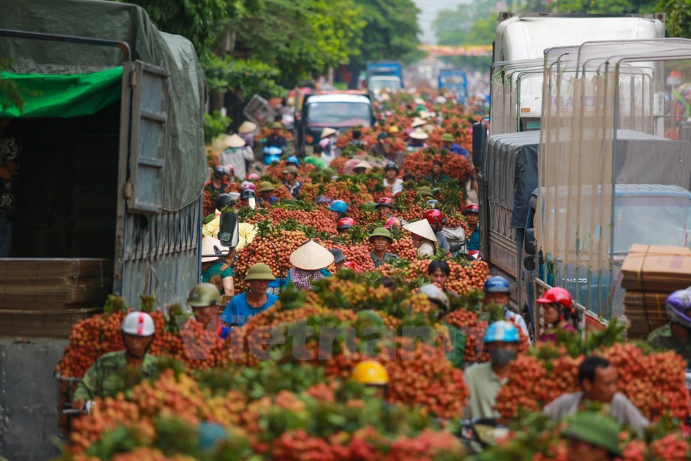 vnp_vai_thieu_luc_ngan_1.JPG