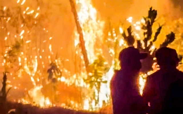 399480_forest fire.jpg