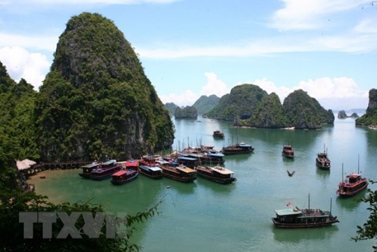 0110halong.jpg