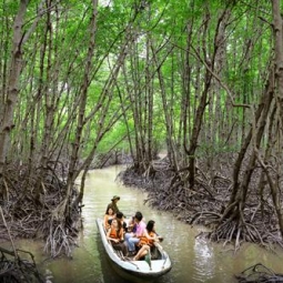 베트남 남부② 껀저, 맹그로브 우거진 생태계의 보고