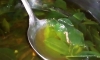 호찌민市, 회사 식당 점심에서 벌레 발견.., 직원들 조기 귀가