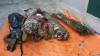 베트남, ‘호랑이’ 5마리 냉동 상태로 발견..., 밀렵꾼 활개