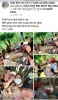 베트남, 사회적 거리두기 피해 숲에서 술 파티 했다 벌금 1,000만원