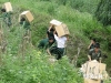 베트남, 국경 밀수입 증가 ‘군대’ 투입 단속 강화
