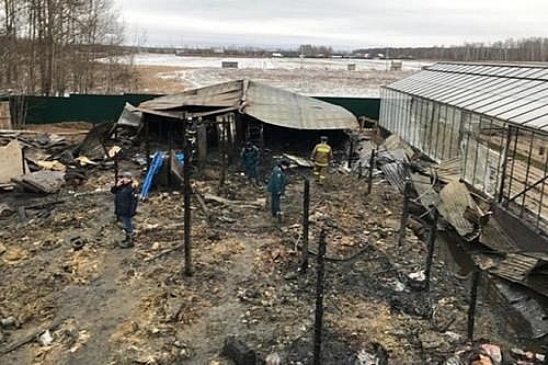 vietnamese-embassy-identifies-moscow-farm-fire-victims.jpg